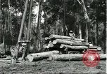Standbild Fordlandia Gummi Wälder Brasilien, 1932, aus Sekunde 29 historischem Filmmaterial Videoclip 65675064731