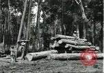 Standbild Fordlandia Gummi Wälder Brasilien, 1932, aus Sekunde 30 historischem Filmmaterial Videoclip 65675064731