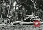 Standbild Fordlandia Gummi Wälder Brasilien, 1932, aus Sekunde 31 historischem Filmmaterial Videoclip 65675064731