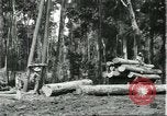 Standbild Fordlandia Gummi Wälder Brasilien, 1932, aus Sekunde 32 historischem Filmmaterial Videoclip 65675064731