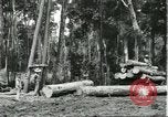 Standbild Fordlandia Gummi Wälder Brasilien, 1932, aus Sekunde 33 historischem Filmmaterial Videoclip 65675064731