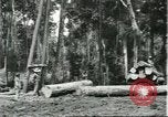 Standbild Fordlandia Gummi Wälder Brasilien, 1932, aus Sekunde 34 historischem Filmmaterial Videoclip 65675064731