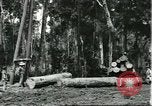 Standbild Fordlandia Gummi Wälder Brasilien, 1932, aus Sekunde 35 historischem Filmmaterial Videoclip 65675064731