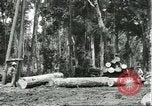 Standbild Fordlandia Gummi Wälder Brasilien, 1932, aus Sekunde 36 historischem Filmmaterial Videoclip 65675064731