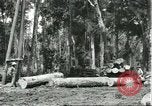 Standbild Fordlandia Gummi Wälder Brasilien, 1932, aus Sekunde 37 historischem Filmmaterial Videoclip 65675064731