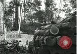 Standbild Fordlandia Gummi Wälder Brasilien, 1932, aus Sekunde 42 historischem Filmmaterial Videoclip 65675064731