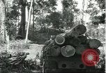 Standbild Fordlandia Gummi Wälder Brasilien, 1932, aus Sekunde 43 historischem Filmmaterial Videoclip 65675064731