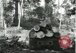 Standbild Fordlandia Gummi Wälder Brasilien, 1932, aus Sekunde 44 historischem Filmmaterial Videoclip 65675064731