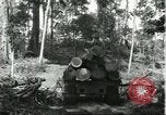 Standbild Fordlandia Gummi Wälder Brasilien, 1932, aus Sekunde 45 historischem Filmmaterial Videoclip 65675064731