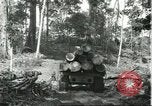 Standbild Fordlandia Gummi Wälder Brasilien, 1932, aus Sekunde 46 historischem Filmmaterial Videoclip 65675064731