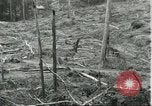 Standbild Fordlandia Gummi Wälder Brasilien, 1932, aus Sekunde 55 historischem Filmmaterial Videoclip 65675064731