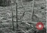 Standbild Fordlandia Gummi Wälder Brasilien, 1932, aus Sekunde 56 historischem Filmmaterial Videoclip 65675064731