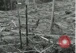 Standbild Fordlandia Gummi Wälder Brasilien, 1932, aus Sekunde 57 historischem Filmmaterial Videoclip 65675064731