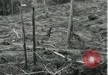 Standbild Fordlandia Gummi Wälder Brasilien, 1932, aus Sekunde 58 historischem Filmmaterial Videoclip 65675064731