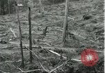 Standbild Fordlandia Gummi Wälder Brasilien, 1932, aus Sekunde 59 historischem Filmmaterial Videoclip 65675064731