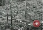 Standbild Fordlandia Gummi Wälder Brasilien, 1932, aus Sekunde 60 historischem Filmmaterial Videoclip 65675064731