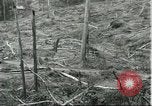 Standbild Fordlandia Gummi Wälder Brasilien, 1932, aus Sekunde 61 historischem Filmmaterial Videoclip 65675064731