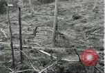 Standbild Fordlandia Gummi Wälder Brasilien, 1932, aus Sekunde 62 historischem Filmmaterial Videoclip 65675064731