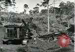 Standbild Fordlandia Bauholz Operationen für Kautschuk Plantage Brasilien, 1932, aus Sekunde 3 historischem Filmmaterial Videoclip 65675064733