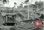 Standbild Fordlandia Bauholz Operationen für Kautschuk Plantage Brasilien, 1932, aus Sekunde 4 historischem Filmmaterial Videoclip 65675064733