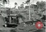 Standbild Fordlandia Bauholz Operationen für Kautschuk Plantage Brasilien, 1932, aus Sekunde 5 historischem Filmmaterial Videoclip 65675064733