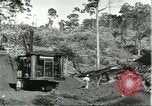 Standbild Fordlandia Bauholz Operationen für Kautschuk Plantage Brasilien, 1932, aus Sekunde 6 historischem Filmmaterial Videoclip 65675064733