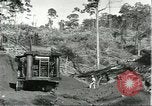 Standbild Fordlandia Bauholz Operationen für Kautschuk Plantage Brasilien, 1932, aus Sekunde 7 historischem Filmmaterial Videoclip 65675064733