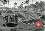 Standbild Fordlandia Bauholz Operationen für Kautschuk Plantage Brasilien, 1932, aus Sekunde 8 historischem Filmmaterial Videoclip 65675064733