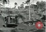 Standbild Fordlandia Bauholz Operationen für Kautschuk Plantage Brasilien, 1932, aus Sekunde 9 historischem Filmmaterial Videoclip 65675064733