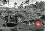 Standbild Fordlandia Bauholz Operationen für Kautschuk Plantage Brasilien, 1932, aus Sekunde 10 historischem Filmmaterial Videoclip 65675064733