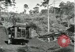 Standbild Fordlandia Bauholz Operationen für Kautschuk Plantage Brasilien, 1932, aus Sekunde 11 historischem Filmmaterial Videoclip 65675064733
