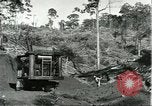 Standbild Fordlandia Bauholz Operationen für Kautschuk Plantage Brasilien, 1932, aus Sekunde 13 historischem Filmmaterial Videoclip 65675064733