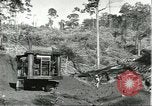 Standbild Fordlandia Bauholz Operationen für Kautschuk Plantage Brasilien, 1932, aus Sekunde 14 historischem Filmmaterial Videoclip 65675064733