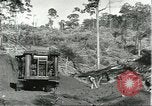 Standbild Fordlandia Bauholz Operationen für Kautschuk Plantage Brasilien, 1932, aus Sekunde 15 historischem Filmmaterial Videoclip 65675064733