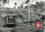 Standbild Fordlandia Bauholz Operationen für Kautschuk Plantage Brasilien, 1932, aus Sekunde 16 historischem Filmmaterial Videoclip 65675064733