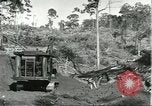 Standbild Fordlandia Bauholz Operationen für Kautschuk Plantage Brasilien, 1932, aus Sekunde 17 historischem Filmmaterial Videoclip 65675064733