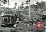 Standbild Fordlandia Bauholz Operationen für Kautschuk Plantage Brasilien, 1932, aus Sekunde 18 historischem Filmmaterial Videoclip 65675064733