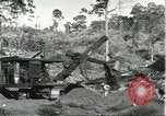 Standbild Fordlandia Bauholz Operationen für Kautschuk Plantage Brasilien, 1932, aus Sekunde 20 historischem Filmmaterial Videoclip 65675064733