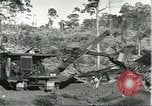 Standbild Fordlandia Bauholz Operationen für Kautschuk Plantage Brasilien, 1932, aus Sekunde 21 historischem Filmmaterial Videoclip 65675064733