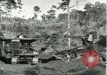 Standbild Fordlandia Bauholz Operationen für Kautschuk Plantage Brasilien, 1932, aus Sekunde 22 historischem Filmmaterial Videoclip 65675064733