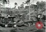 Standbild Fordlandia Bauholz Operationen für Kautschuk Plantage Brasilien, 1932, aus Sekunde 23 historischem Filmmaterial Videoclip 65675064733