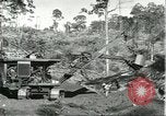 Standbild Fordlandia Bauholz Operationen für Kautschuk Plantage Brasilien, 1932, aus Sekunde 24 historischem Filmmaterial Videoclip 65675064733