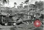 Standbild Fordlandia Bauholz Operationen für Kautschuk Plantage Brasilien, 1932, aus Sekunde 25 historischem Filmmaterial Videoclip 65675064733