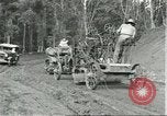 Standbild Fordlandia Bauholz Operationen für Kautschuk Plantage Brasilien, 1932, aus Sekunde 34 historischem Filmmaterial Videoclip 65675064733