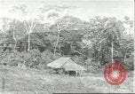 Image of Brazilian worker housing at Fordlandia Brazil, 1932, second 1 stock footage video 65675064736