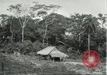 Image of Brazilian worker housing at Fordlandia Brazil, 1932, second 3 stock footage video 65675064736