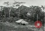 Image of Brazilian worker housing at Fordlandia Brazil, 1932, second 4 stock footage video 65675064736