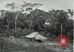 Image of Brazilian worker housing at Fordlandia Brazil, 1932, second 5 stock footage video 65675064736
