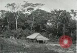 Image of Brazilian worker housing at Fordlandia Brazil, 1932, second 6 stock footage video 65675064736