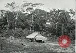 Image of Brazilian worker housing at Fordlandia Brazil, 1932, second 9 stock footage video 65675064736